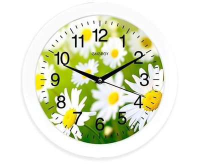Часы настенные Energy EC-98 Ромашки 27,5*3,8см(круглые)плавный ход, пластик, АА*1шт нет в компл