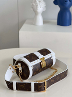 Louis Vuitton Papillon Trunk