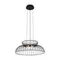 Подвесной светильник Цитрус / Citrus Freya fr5398pl-l6b