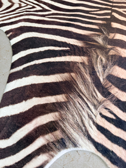 Шкура зебры с ворсом