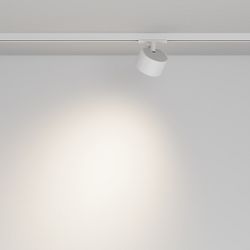 Светильник на штанге Maytoni  TR225-1-GX53-W