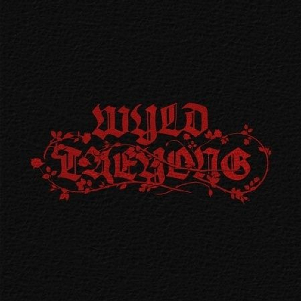 (ПРЕДЗАКАЗ) Альбом TAEYONG - WYLD 1st Album WYLD BOOK Version