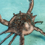 Фигура краба