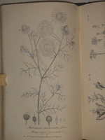 "Полный настоящий простонародный русский лечебник. 1350 домашних средств к излечению всевозможных болезней". Ф. Лоевский. 1884г.