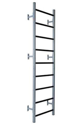 Шведская стенка ДТ