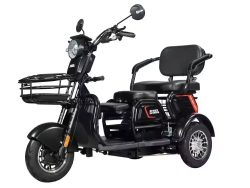 Трицикл WHITE SIBERIA SIBTRIKE 2000W