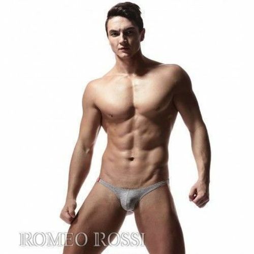 Мужские трусы слипы серые Romeo Rossi RR2011-3