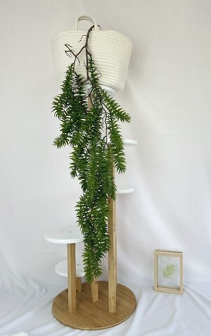 Плаун ампельный / Арт 4071