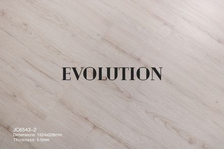 Evolution