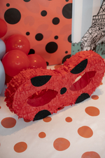 Lady Bug Party