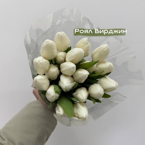 Белые Тюльпаны роял вирджин 1шт поштучно