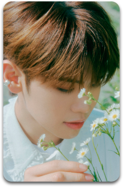 Карта #4585 / Taerae (ZEROBASEONE)