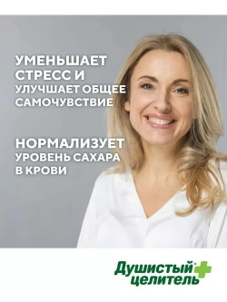 Травяной чага чай со смородиной 200 грамм