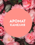 GraSS DUTYBOX Мыло жидкое эко-пенка для рук Камелия 500мл