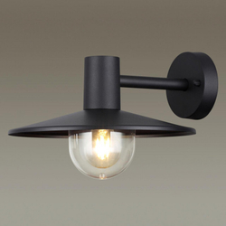 Уличный настенный светильник Odeon Light 4833/1W