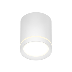 DK4016-WH Светильник накладной IP 20, 5 Вт, LED 3000, белый, алюминий/акрил