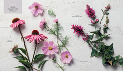The Container Garden Recipe Book