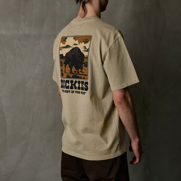 Футболка мужская Dickies Darrtown Short Sleeve Tee 