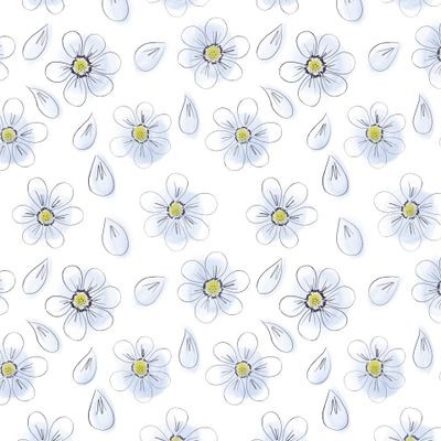 Весенние цветы и лепестки на белом фоне