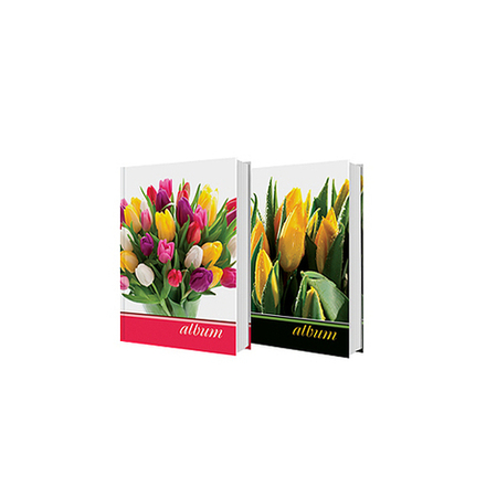 Фотоальбом Image Art IA-200PP серия 005 цветы термосварка 200 фотографий размер 10х15