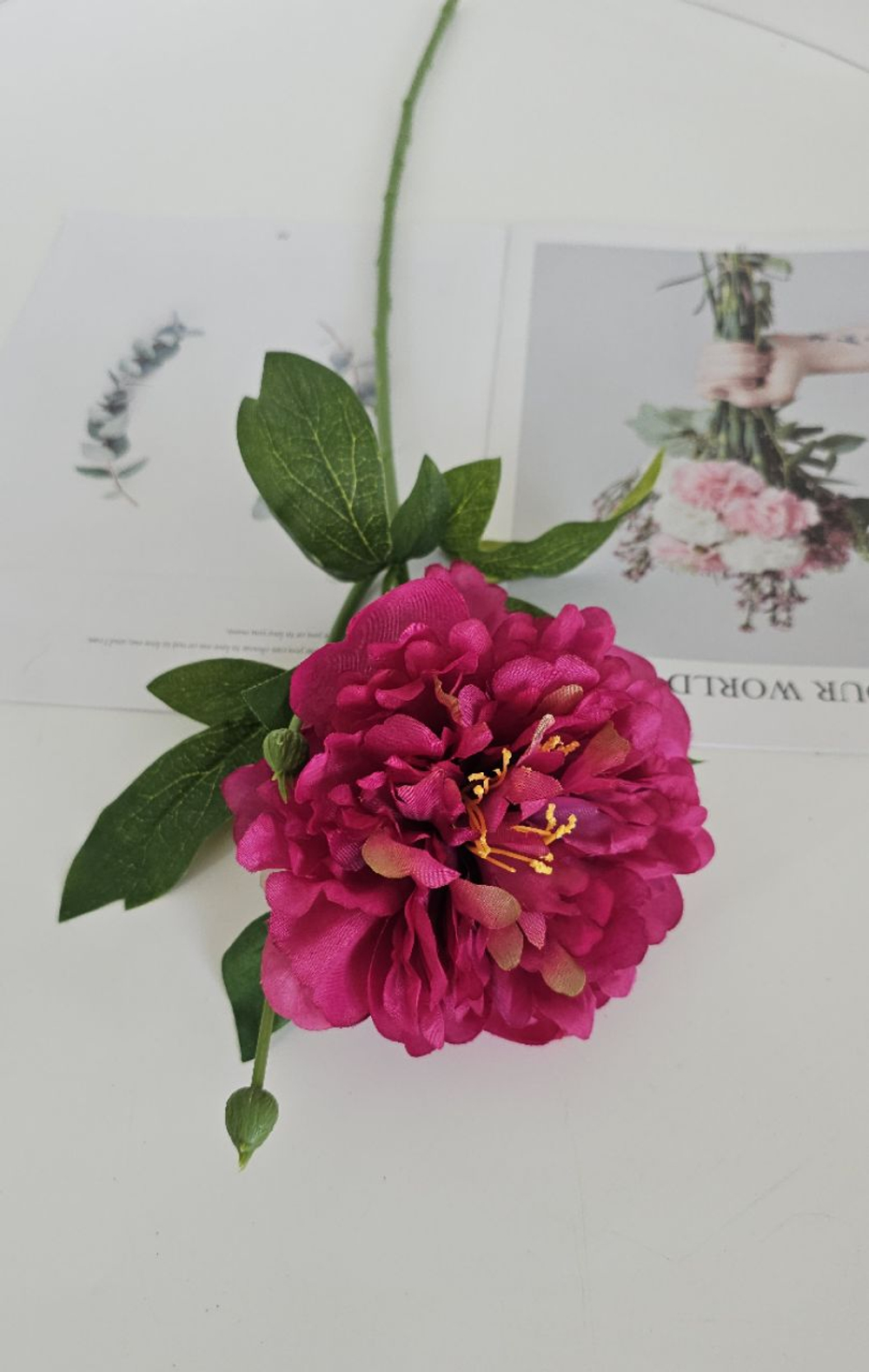 Пион / Арт 2559