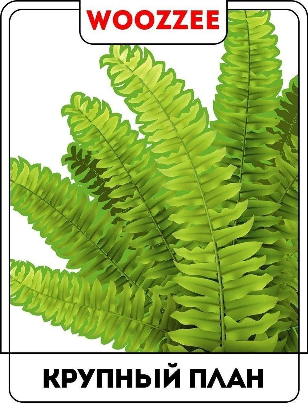 Наклейка декоративная А3 "Папоротник"