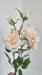 Роза пионовидная / Арт 2362