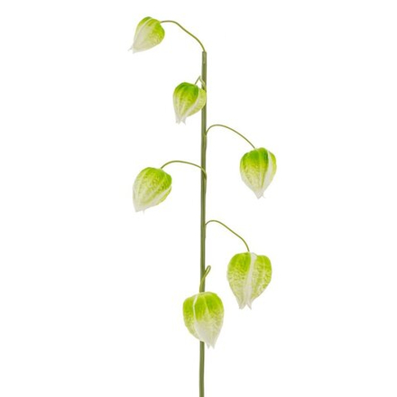 GAEM Цветок искусственный "Физалис" (Real Touch), L13 W10 H70 см