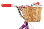 Детский велосипед Schwinn Elm 16 (2022)