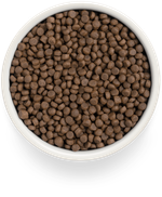 Premier cat lamb & turkey sterilised ягненка с индейкой для кошек
