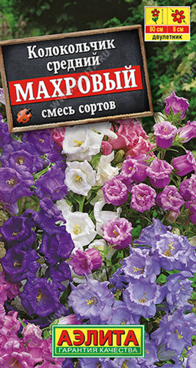 Колокольчик Махровый, смесь сортов