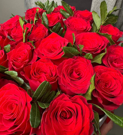 Подарочный набор 21 роза Кения 40 см коробочке