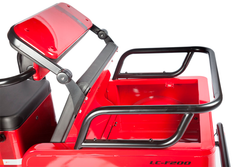 Электротрицикл Wanshida LC-F200 (1000Вт, 60B)