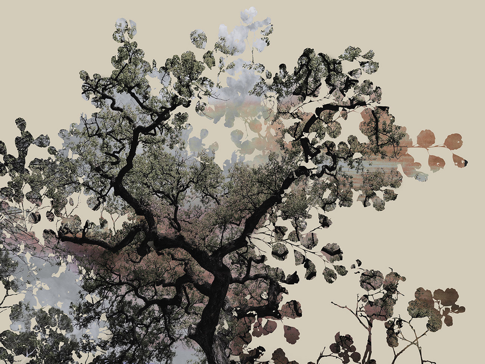 Дизайнерские обои Wall Street Vetve-21