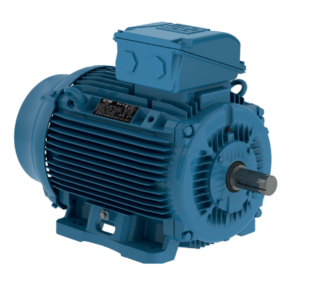 Электродвигатель WEG W22 315S/M 110 кВт ГОСТ чугунный 750 об/мин