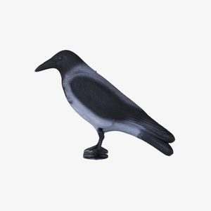 Другие чучела птиц