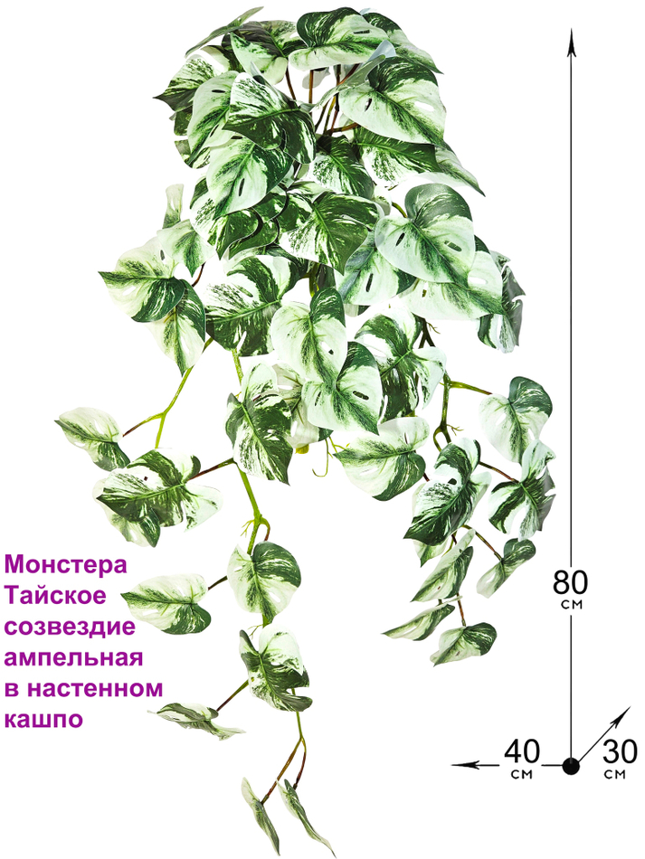 Искусственное ампельное растение Монстера Тайское созвездие в настенном белом кашпо