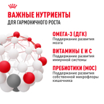 Royal Canin Maxi Puppy Влажный корм для щенков крупных пород в возрасте до 15 месяцев 100г