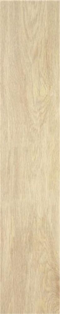 STN Ceramica Tacora Beige Mt Rect 22.7x119.5