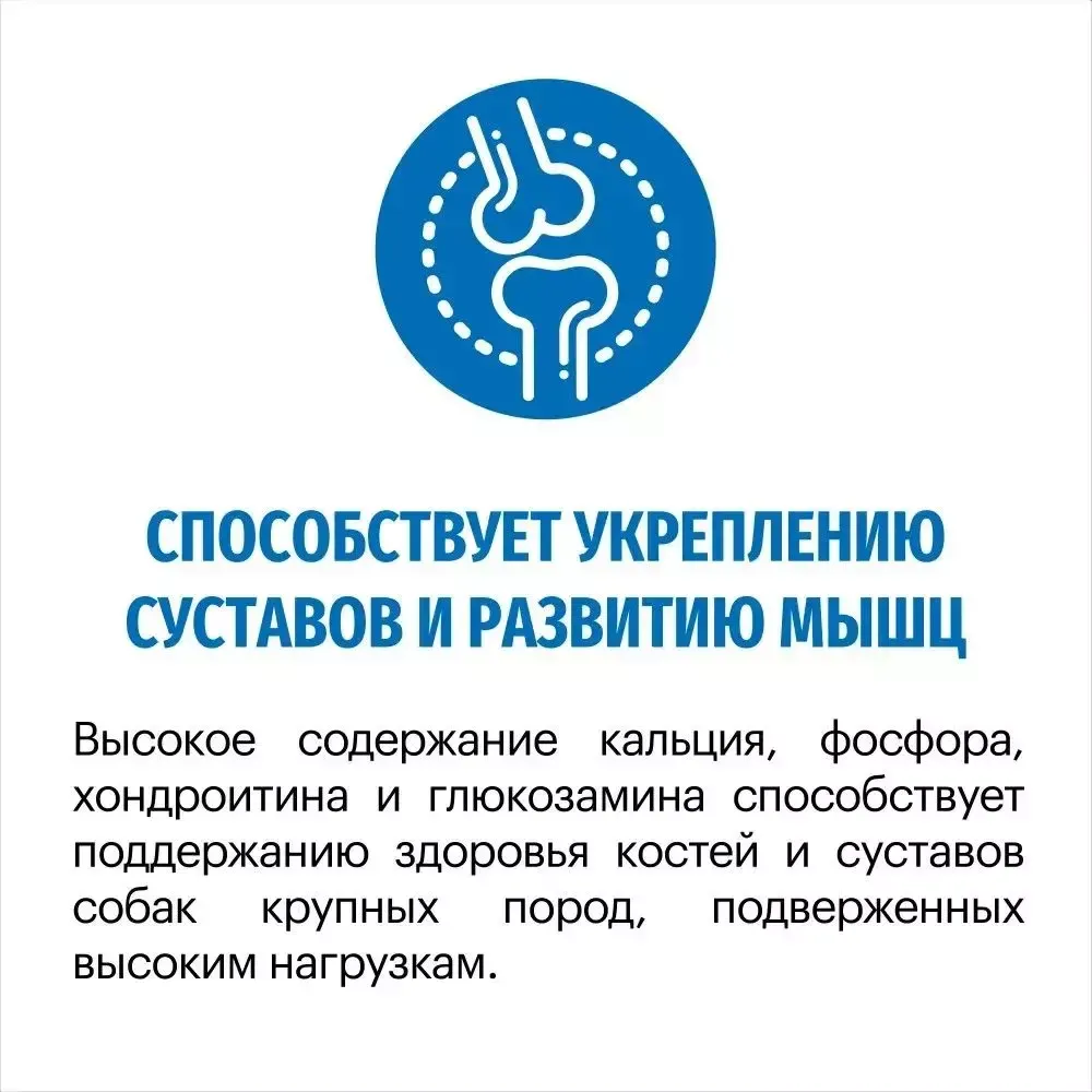 Сухой корм Karmy Maxi Adult для взрослых собак крупных пород, с телятиной