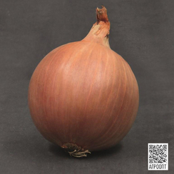 Шерман F1 семена лука репчатого (Bejo / Бейо)