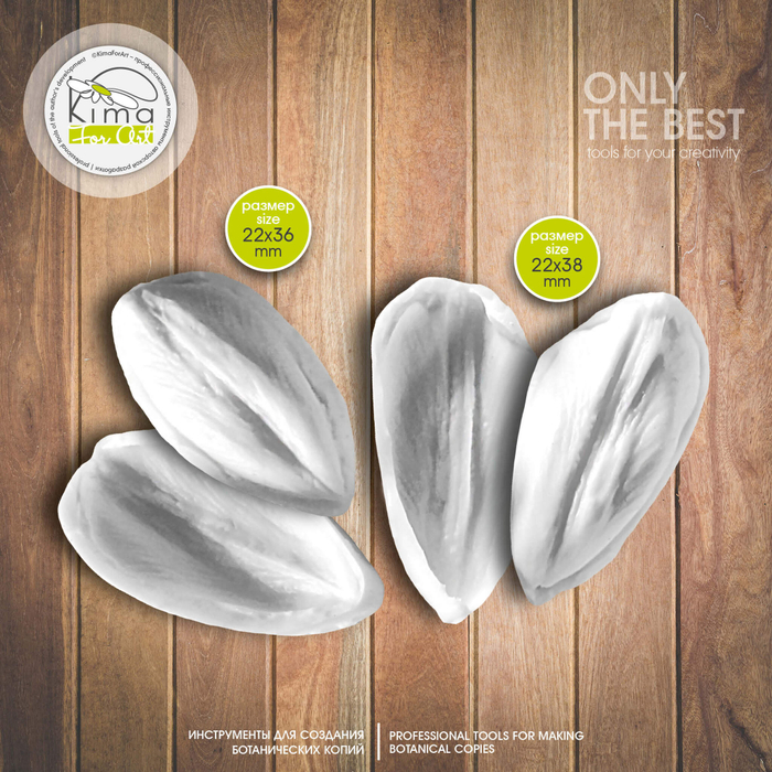 Тюльпан карликовый лепестки