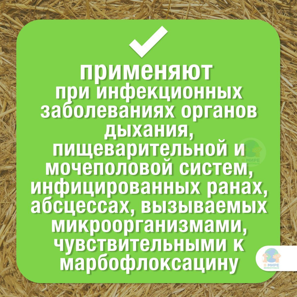 БЕЛКАРОЛИН Марбобел 2%, раствор для инъекций, для лечения молодняка сельскохозяйственных животных, собак, кошек и кроликов, 10 мл, 5 шт. Марбофлоксацин.