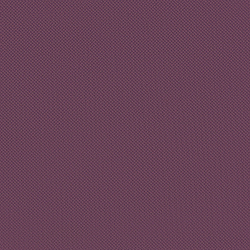 Велюр Blitz / Блитц