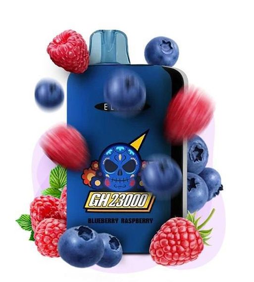 Elf Bar GH23000 - Blueberry Raspberry (5% nic)