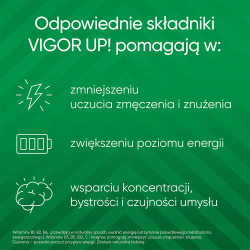 Vigor Up! - диетическая добавка, 30 таблеток