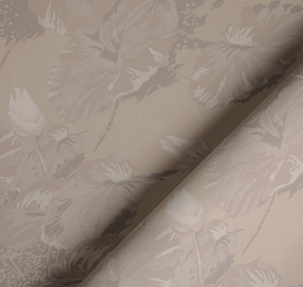 Шервуд Нимфея Альба