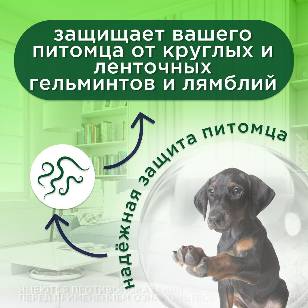 Таблетки от гельминтов и лямблий, профилактика дирофиляриоза для собак крупных пород Фенпраз Форте XL, 6 таблеток