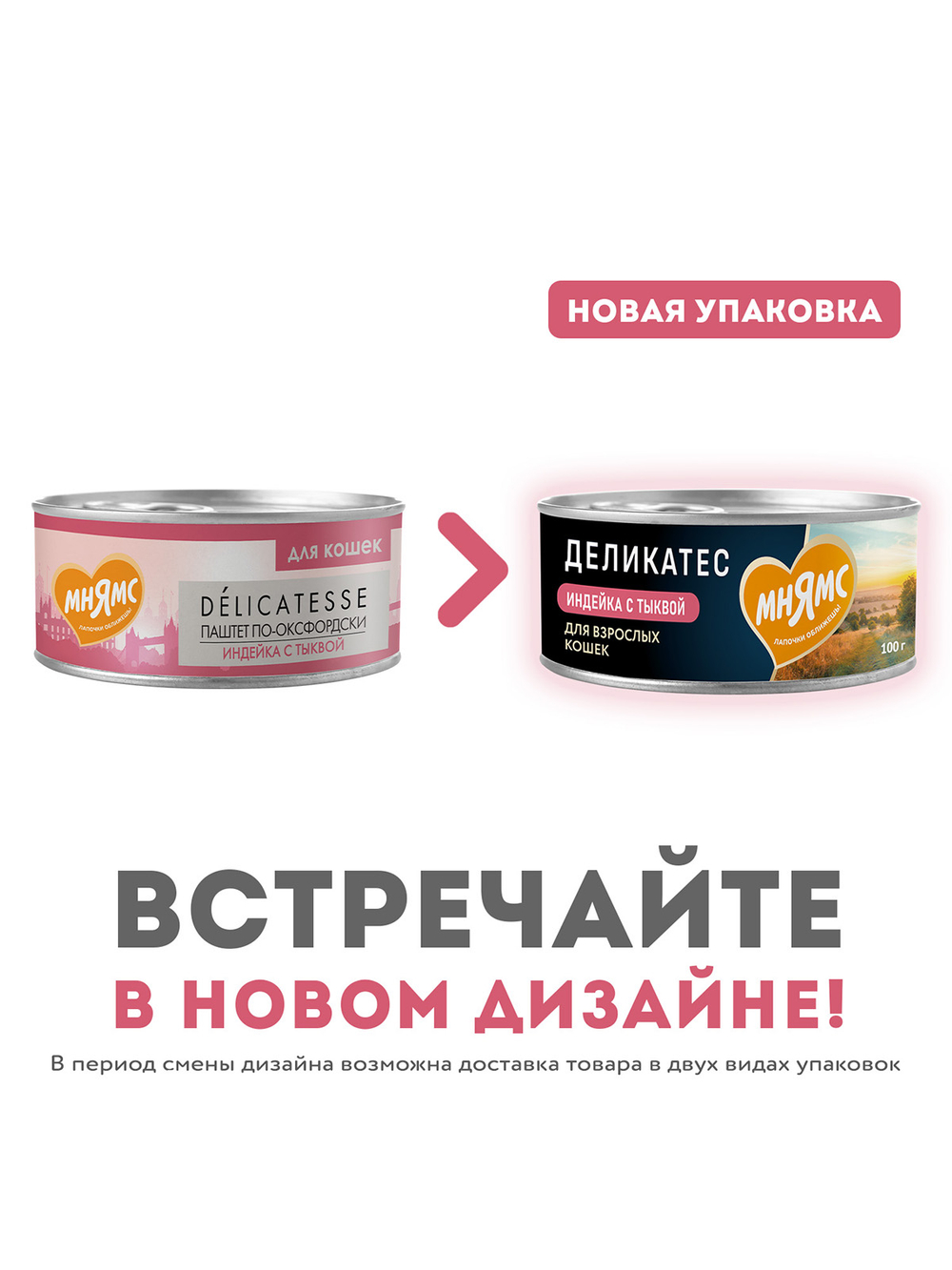 Влажный корм Мнямс Деликатес Индейка с тыквой для кошек "Паштет по-оксфордски" 100 г