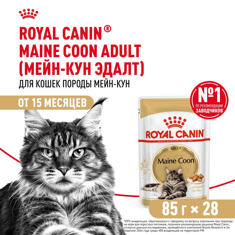 Royal Canin Maine Coon Adult Корм консервированный для взрослых кошек породы Мэйн Кун соус 85г